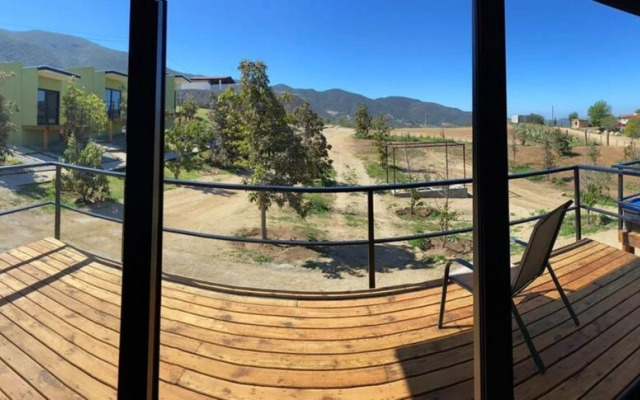 Palta 60 Valle de Guadalupe