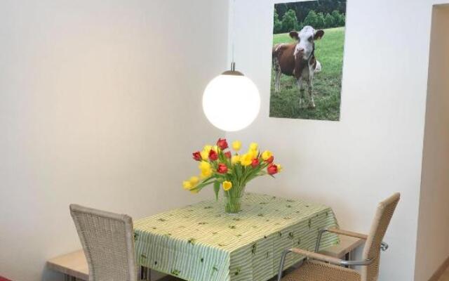 Sport-Alpin-Wohnung-4