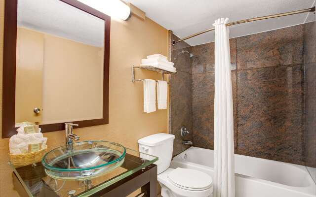 Super 8 by Wyndham Raleigh Downtown