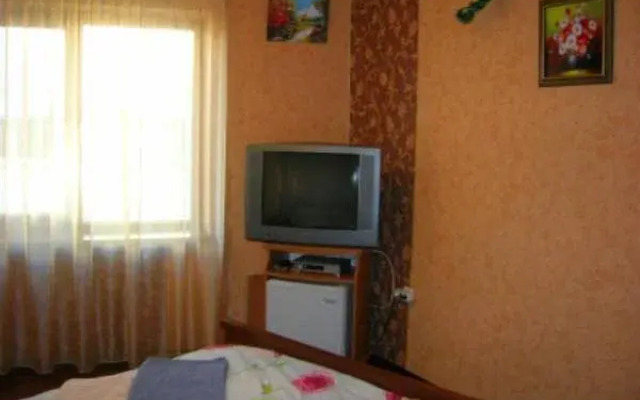 Hotel Virazh