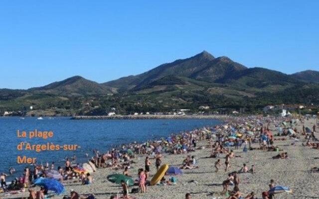Appartement Argelès-sur-Mer, 2 pièces, 4 personnes - FR-1-225-60