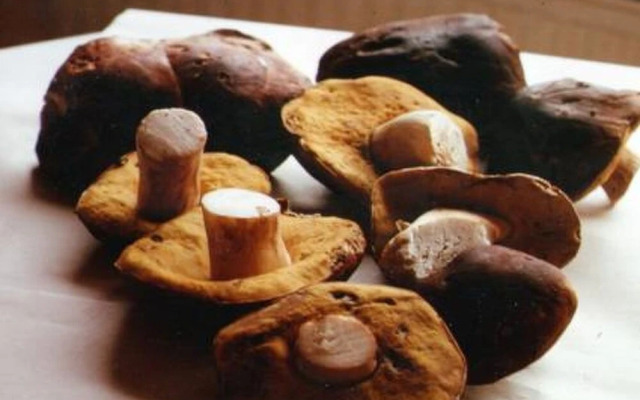 Holiday Home Rukaniemen kontio