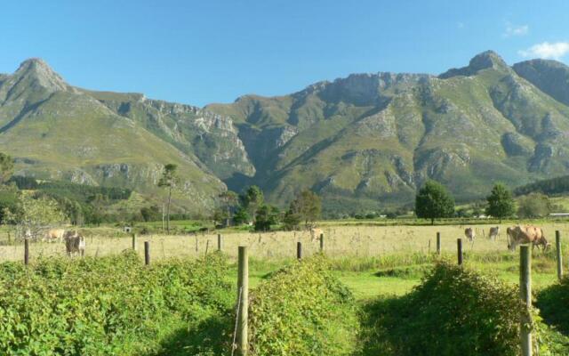 Wildebraam Berry Estate