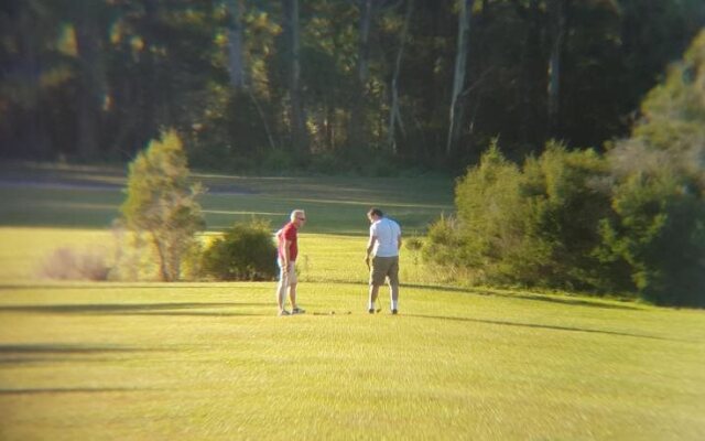 Woodbine Park Eco Cabins