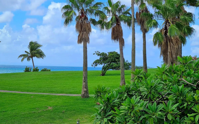 Studio Premium - Pierre & Vacances