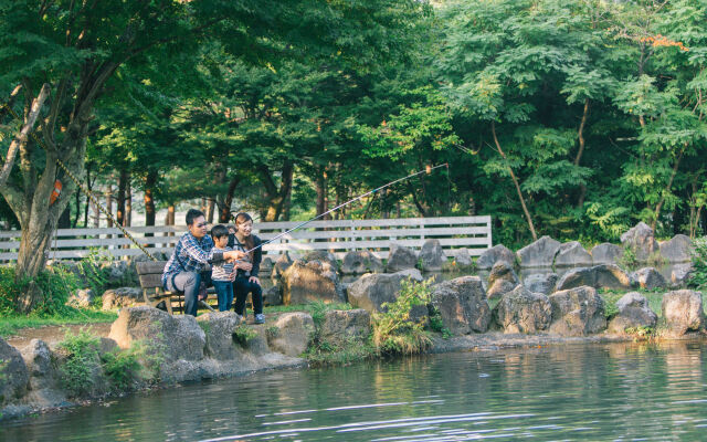 PICA FUJISAIKO - Campsite