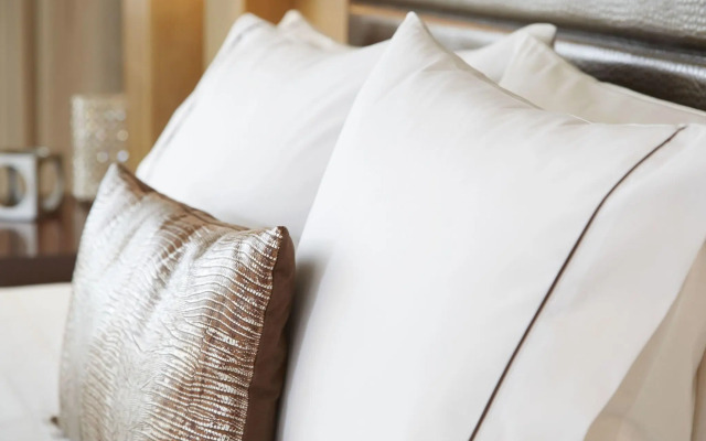 Renaissance St. Louis Airport Hotel