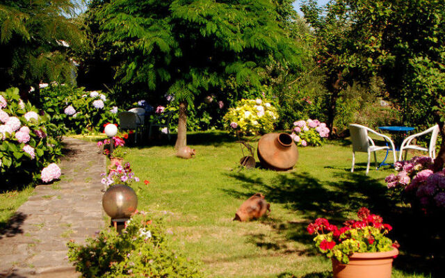 Alekas Studios