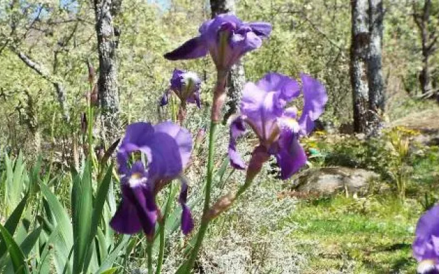 Hotel Rural El Camino