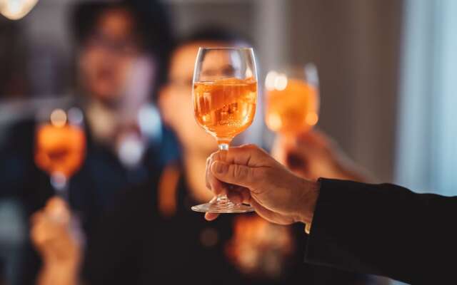 Verena's Boutique Villa au lac