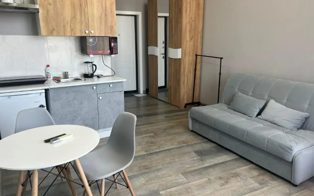 Apartments on Veselaya street 82/1B
