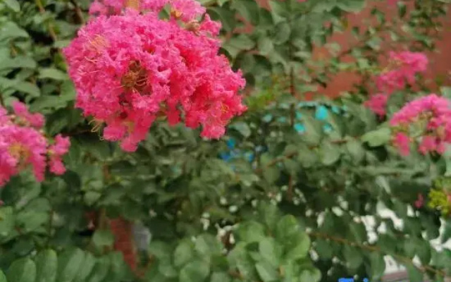 Wentou Homestay · Ziwei Manor (Dujiangyan Station Sunac Land)