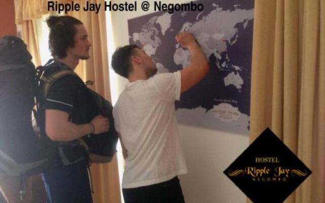 Ripple Jay @ Negombo Hostel