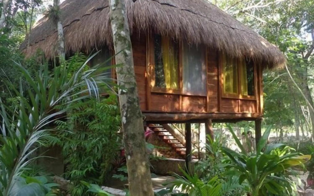 Casa Mango