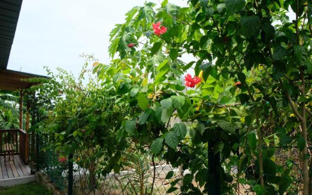 Tung's Tropika - With a Wooden Hut by a Lake