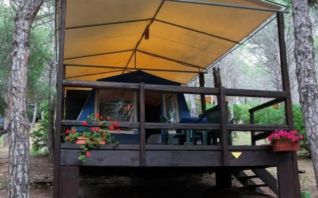 Amfibietreks Camping