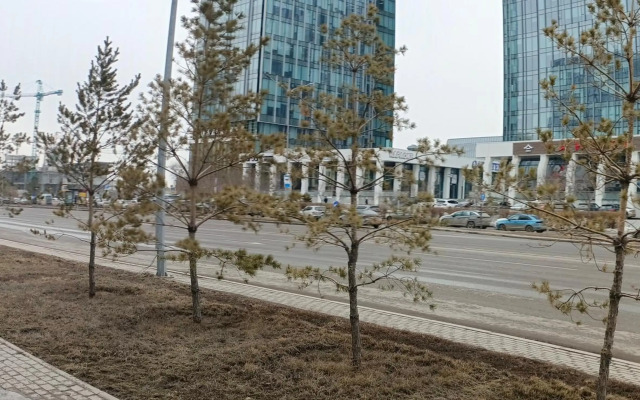 Orynbor towers
