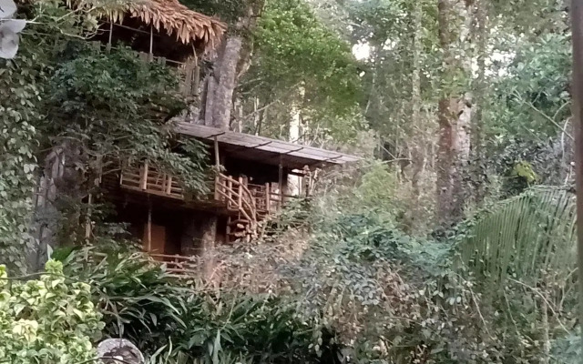 Jungle Jive Tree House Munnar