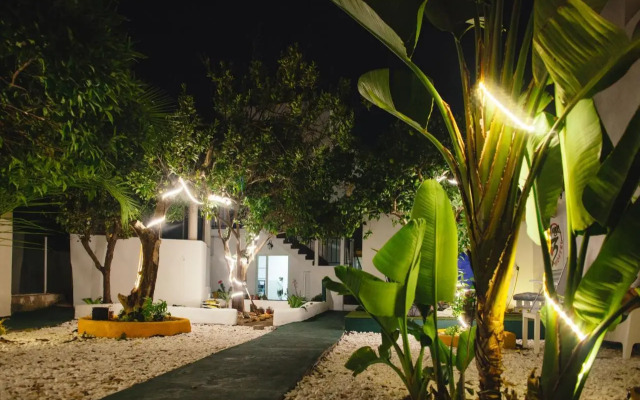 Orange 3 Hostel