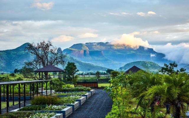 Viveda Wellness Village