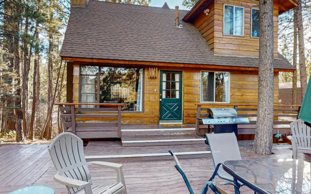 The Wilkie Cabin #339