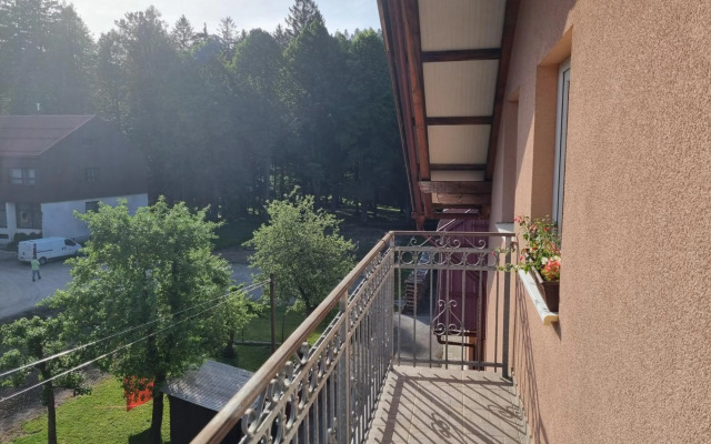 Apartman Delnice Park Srna
