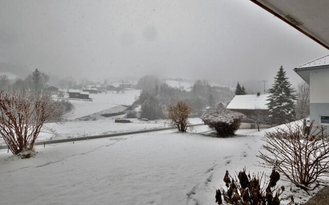 Cosy Apartment in Dalaas With Terrace, Garden & Ski-storage