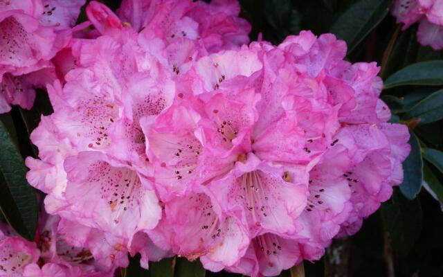 The Steading at Barmore