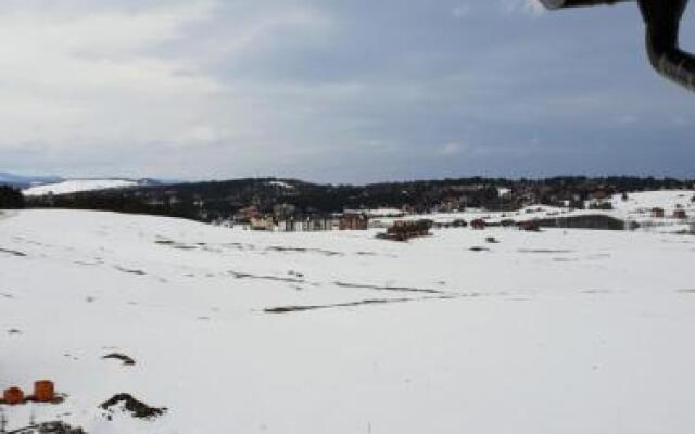 Zlatibor Hills