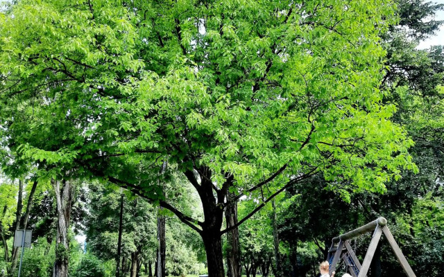 Franko's Cozy Apartment with garage