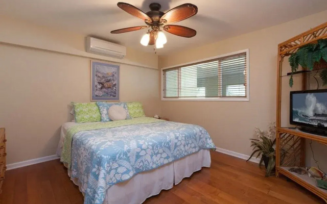 Banyan Tree By Kona Now