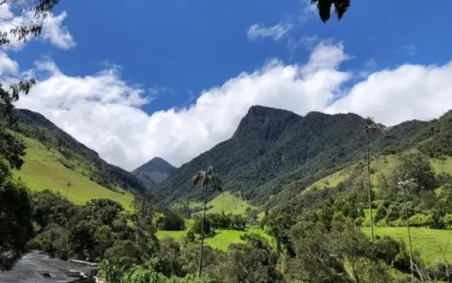 Cabañas Truchas Cocora