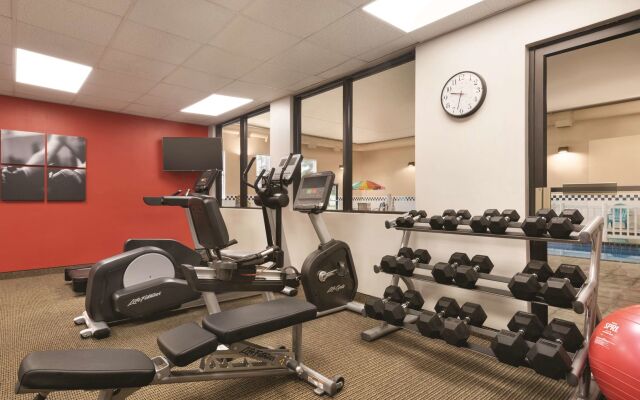 Spark by Hilton Ames