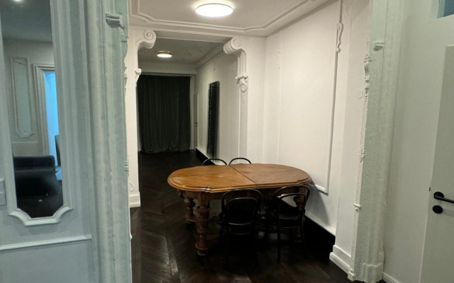 Luxurious Apartment in the Centre of Vienna