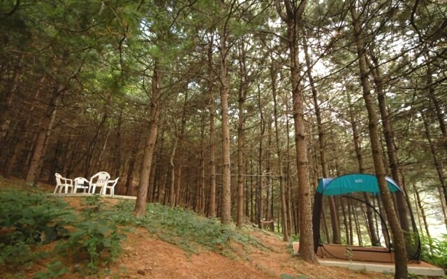 Yeoju Forest Pension