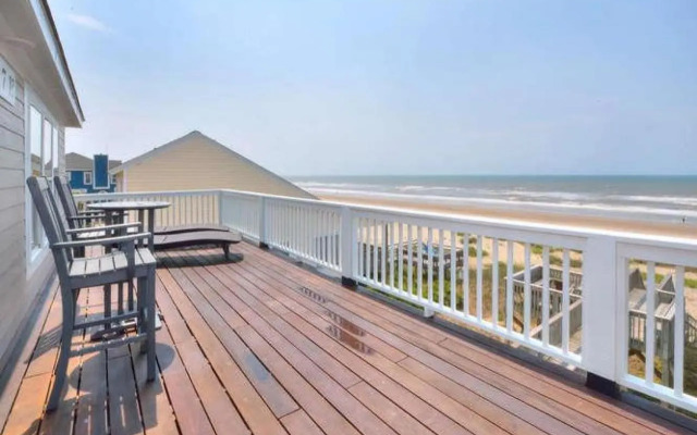 Stranded Indolphinitely