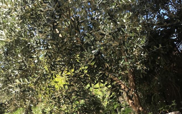 Appartement Cosy sur Presqu'île