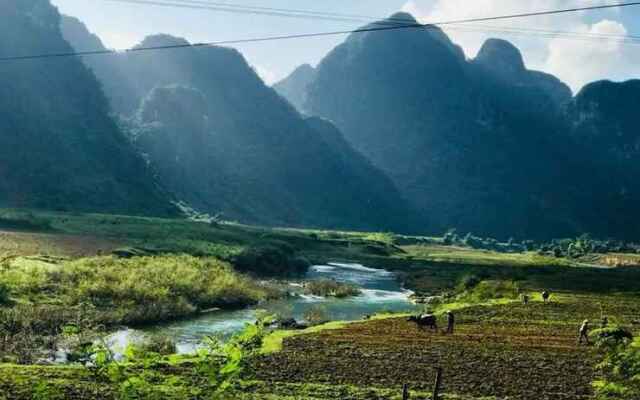 Phong Nha Riverlife Homestay - Hostel