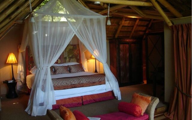 Phantom Forest Eco Reserve