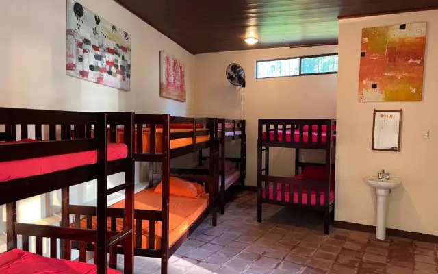SOLID Surf Hostel