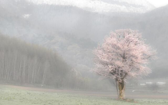 Rising Sun Furano
