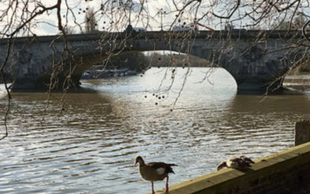 Apple Apartments Kew Bridge