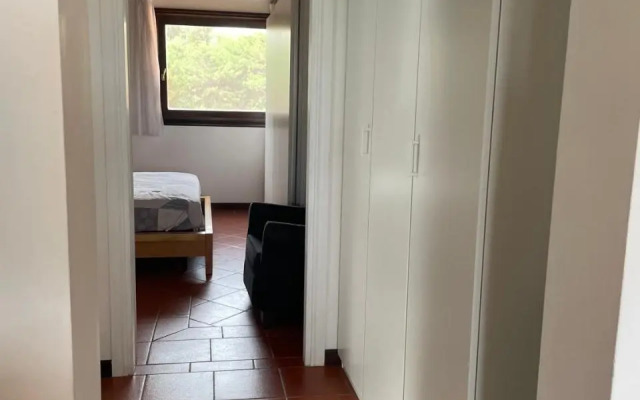 Carolina Apartment