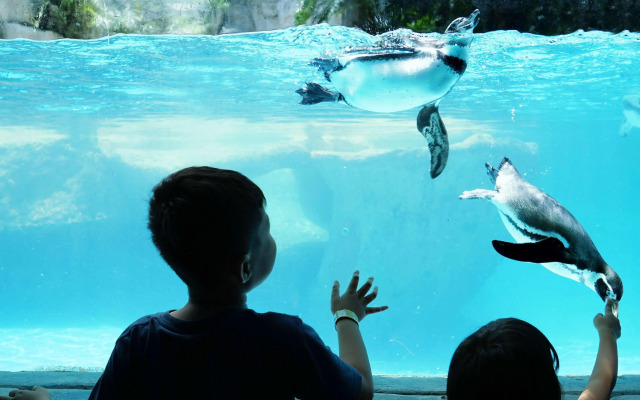 Northgate Inn Saginaw