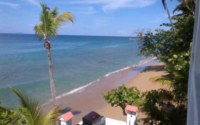 Coconut Palms Inn On The Beach