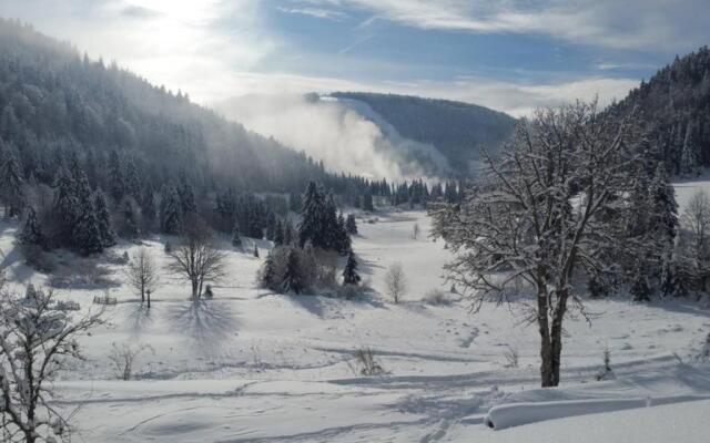 LA BRESSE - Appartement de Charme 3*