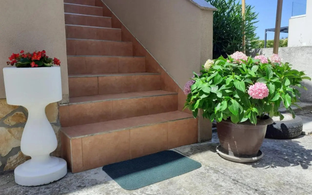 Apartmani Sanda i Leo