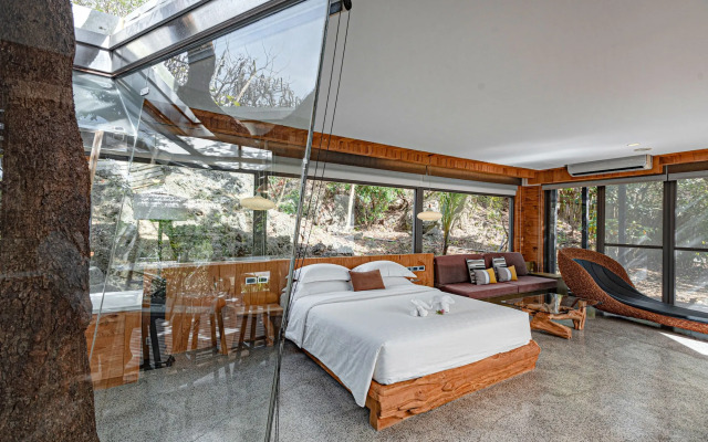 The House 15