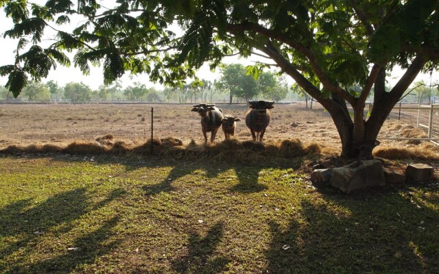 Berry Creek Bush Retreat