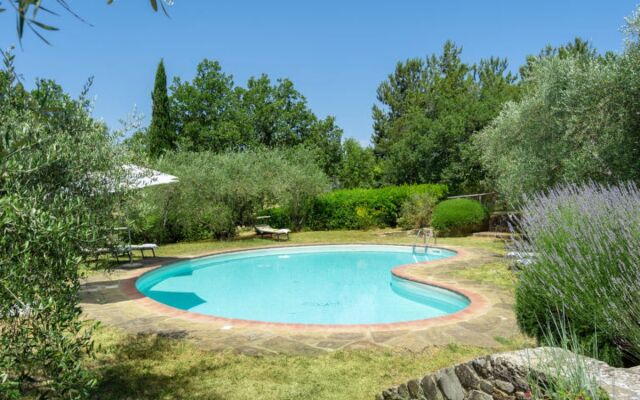 Cafaggio Di Sopra 16137